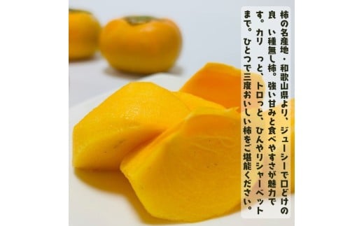 【先行予約】【2026年10月発送】【ご家庭用】和歌山のたねなし柿　秀優混合　約2kg【2026年10月上旬～下旬頃に順次発送予定】【ard254】