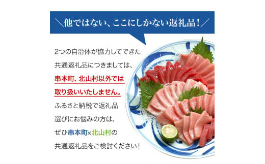 【期間限定 特別寄付額】ロケット打ち上げ応援！本マグロ トロ＆赤身セット 1kg（養殖）【2月発送】 濃厚な赤身と高級部位トロの鮪好きにはたまらないセット 【串本町×北山村】 高級 クロマグロ まぐろ マグロ 鮪 中トロ 赤身 柵 マグロ中トロ 刺身【nks105A_cp-2】