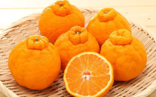 åæå±±çç£äžç¥ç«çŽ4kgïŒãµã€ãºæ··åïŒ â»2027幎2æäžæ¬ïœ2027幎3æäžæ¬é ã«é 次çºéäºå®ïŒæ¥ä»æå®äžå¯ïŒãtec957ã