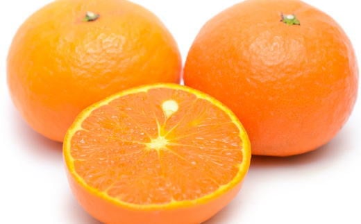 ãæ¥ã¿ãããåæå±±æç°ç£ã«ã©ãã³ããªã³çŽ5kg(ãµã€ãºããŸãã)â»2026幎4æäžæ¬ïœ2026幎5æäžæ¬é ã«é 次çºéãtecj1022ã