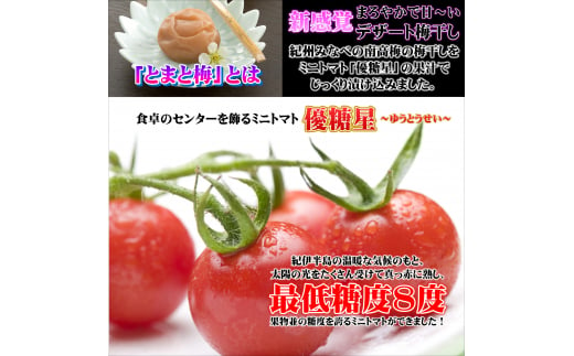 南高梅 とまと梅 tomato-ume １００ｇ×５個 / 梅干し 梅干 梅 トマト梅 【ypl004】