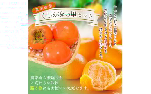 ãå
è¡äºçŽã éã®é§
ããããã®éã»ããÂ å¯ææ¿3åã»æž©å·ã¿ããçŽ30åã®è©°ãåãã ãã ãã蟲家å³éžÂ ã2026幎11æäžæ¬ïœ12æäžæ¬é é æ¬¡çºéã/ ã¿ãã æž©å·ã¿ãã æ¿ å¯ææ¿ ãã è©°ãåãã æç©è©°ãåãã æç© ãã«ãŒã ããã€ãkgr022ã