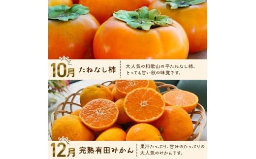 わかやま 旬の フルーツ 定期便【S】 全4回 / 有田みかん まりひめ いちご 桃 柿 ※北海道・沖縄・離島への配送不可【ard-tkb910】