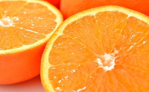 ãæ¿åãªã¬ã³ãžãåæå±±æç°ç£ã»ãããŒã«çŽ3kgïŒãµã€ãºæ··å ç§åïŒãtecj1023ã