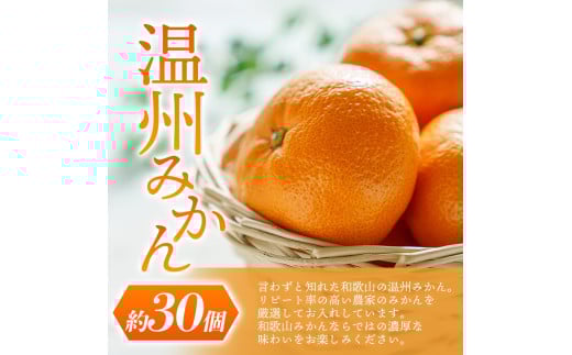 ãå
è¡äºçŽã éã®é§
ããããã®éã»ããÂ å¯ææ¿3åã»æž©å·ã¿ããçŽ30åã®è©°ãåãã ãã ãã蟲家å³éžÂ ã2026幎11æäžæ¬ïœ12æäžæ¬é é æ¬¡çºéã/ ã¿ãã æž©å·ã¿ãã æ¿ å¯ææ¿ ãã è©°ãåãã æç©è©°ãåãã æç© ãã«ãŒã ããã€ãkgr022ã