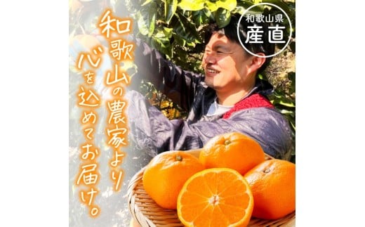 わかやま 旬の フルーツ 定期便【S】 全4回 / 有田みかん まりひめ いちご 桃 柿 ※北海道・沖縄・離島への配送不可【ard-tkb910】