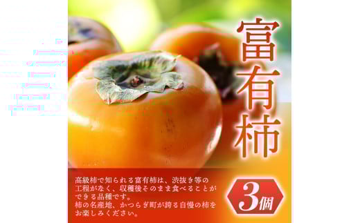 ãå
è¡äºçŽã éã®é§
ããããã®éã»ããÂ å¯ææ¿3åã»æž©å·ã¿ããçŽ30åã®è©°ãåãã ãã ãã蟲家å³éžÂ ã2026幎11æäžæ¬ïœ12æäžæ¬é é æ¬¡çºéã/ ã¿ãã æž©å·ã¿ãã æ¿ å¯ææ¿ ãã è©°ãåãã æç©è©°ãåãã æç© ãã«ãŒã ããã€ãkgr022ã