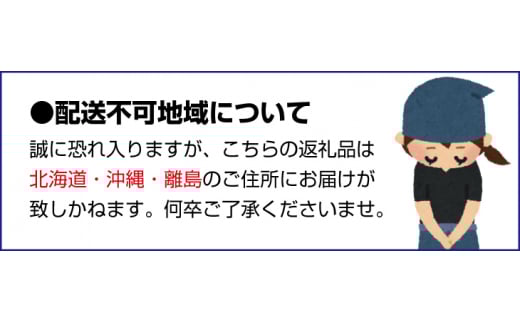 【2027年3月より順次発送】和歌山県産ブランドいちご「まりひめ」約300g×2パック入り ※2027年3月上旬～3月下旬より順次発送予定（お届け日指定不可）【tec965A-3】