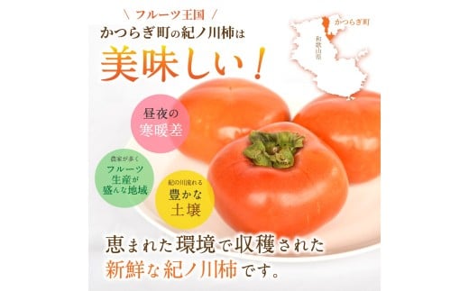 【先行予約】紀の川柿 （果実の中身が黒い！黒蜜柿）希少栽培！ 秀品６個～９個 こだわり農家厳選！【2026年10月上旬から11月上旬頃発送】/ 和歌山県 かつらぎ町 カキ 柿 紀ノ川柿 秀品 紀の川柿 かき フルーツ 旬 秋【kgr044】