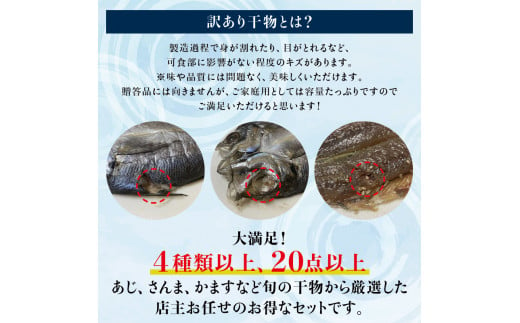 【訳あり干物セット】たっぷり20点以上！おざきのひもの「おまかせスペシャルセット」【冷凍】/ ひもの 干物 干物セット 個包装 イカ 一夜干し 訳あり わけあり【ozk103-1】