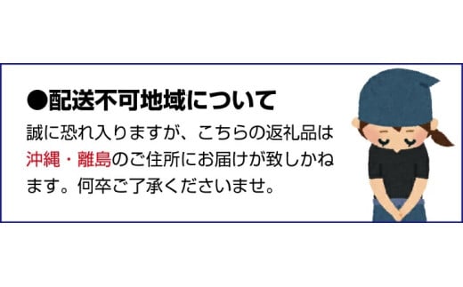 【先行予約】 先行予約！和歌山県産 秀品 キウイフルーツ 大玉15個入 こだわり農家厳選  【2025年12月初旬頃から2026年1月中旬頃順次発送】/ キウイ キウイフルーツ 果物 フルーツ おやつ【kgr021】