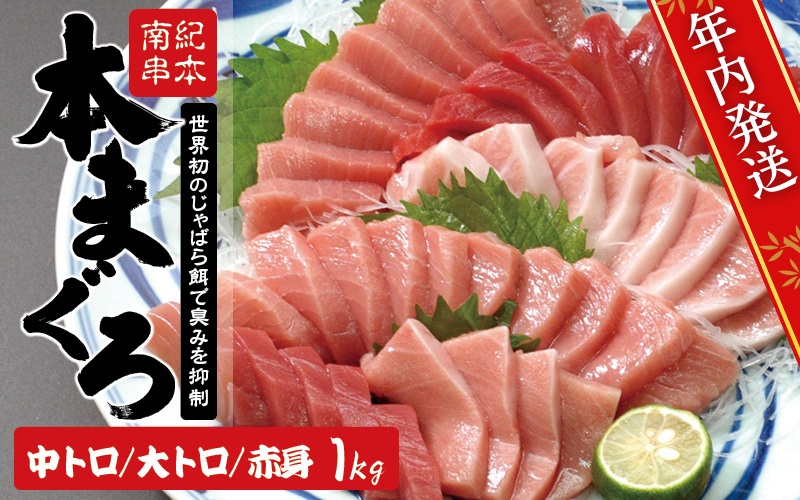 【お正月予約 12月25日～29日発送】本マグロ トロ＆赤身セット 1kg（養殖） 濃厚な赤身と高級部位トロの鮪好きにはたまらないセット 【串本町×北山村】 高級 クロマグロ まぐろ マグロ 鮪 中トロ 赤身 柵 マグロ中トロ 刺身【nks105B-sg】