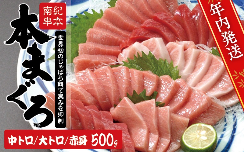 [年内発送受付25日まで!]まぐろ 本マグロ 大トロ&中トロ&赤身セット 500g(養殖)[お正月予約 12月25日〜30日発送]濃厚な赤身と高級部位トロの鮪好きにはたまらないセット / まぐろ 本マグロ とろ 大トロ 中トロ 赤身 鮪 まぐろ刺身 鮪刺身 まぐろトロ まぐろ赤身 クロマグロ 刺身 さしみ 魚 柵 年内発送 年末発送 お正月 和歌山県 串本町[nks110D-sg]
