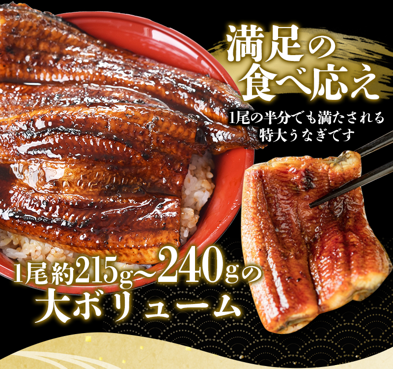 1å°Ÿã§çŽ215gïœ240gã®ããã°ãµã€ãº ããªãè²çŒ 2å°Ÿ èšçŽ430gïœ480g ïŒã¿ã¬ã»å±±æ€ä»ãïŒ ãéåžžçºéããnks700Bã