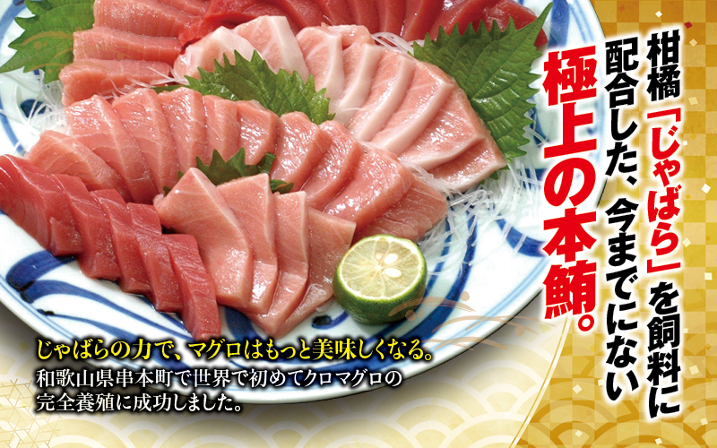 本マグロ 大トロ&中トロ＆赤身セット 500g（養殖)  【配達日指定不可】濃厚な赤身と高級部位トロの鮪好きにはたまらないセット / まぐろ マグロ 鮪 大トロ 中トロ 赤身 鮪とろ マグロトロ まぐろ赤身 まぐろ大トロ まぐろ中トロ まぐろ刺身 まぐろさしみ 刺身 さしみ 柵 サク 和歌山県 串本町 【nks110D-26cp】