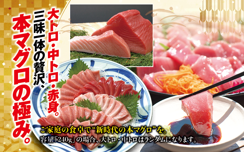本マグロ 大トロ&中トロ＆赤身セット 500g（養殖)  【配達日指定不可】濃厚な赤身と高級部位トロの鮪好きにはたまらないセット / まぐろ マグロ 鮪 大トロ 中トロ 赤身 鮪とろ マグロトロ まぐろ赤身 まぐろ大トロ まぐろ中トロ まぐろ刺身 まぐろさしみ 刺身 さしみ 柵 サク 和歌山県 串本町 【nks110D-26cp】