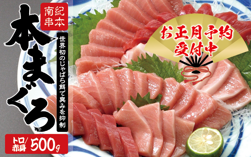 本マグロ トロ＆赤身セット 500g（養殖）【お正月予約 12月26日～30日発送】濃厚な赤身と高級部位トロの鮪好きにはたまらないセット 【串本町×北山村】 高級 クロマグロ【nks110A-sg】