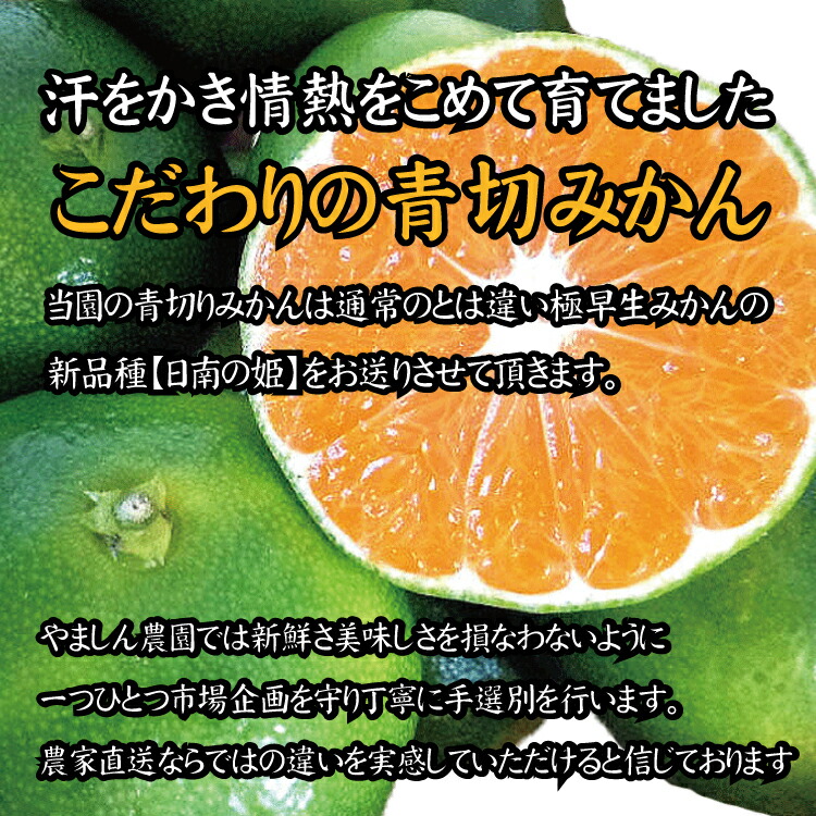 【2024年秋頃発送予約分】【農家直送】こだわりの青切りみかん 約10kg  有機質肥料100%　 サイズ混合　※2024年9月下旬より順次発送予定（お届け日指定不可）【nuk108B】