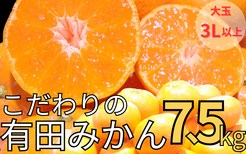 【農家直送】有田みかん 約7.5kg 大玉3L以上 有機質肥料100% ※2024年12月初旬～1月中旬に順次発送(お届け日指定不可)/みかん ミカン 温州みかん 柑橘 有田 和歌山 産地直送【nuk158A】