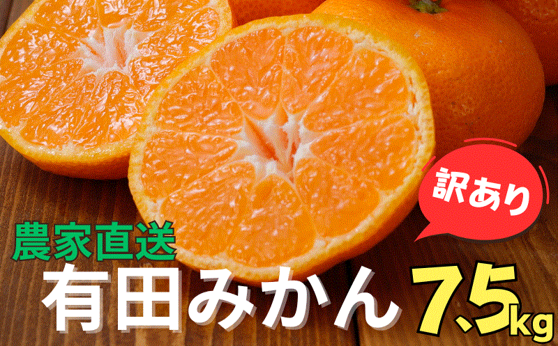 【訳あり】農家直送 有田みかん 約7.5kg ご家庭用 サイズ混合 ※2024年11月中旬から2025年1月中旬までに順次発送予定（お届け日指定不可）※北海道・沖縄・離島への配送不可【nuk157A】