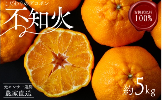 【農家直送】こだわりのデコポン不知火 約5kg  有機質肥料100%　※2026年2月中旬より順次発送予定（お届け日指定不可）【nuk111C】
