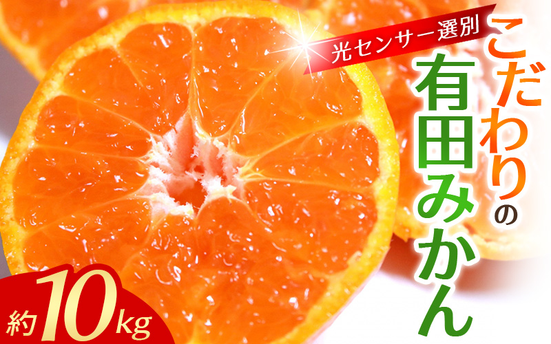 【2027年1月発送予約分】＼光センサー選別／ 農家直送 こだわりの 完熟 有田みかん 約10kg＋150g(傷み補償分) 【ご家庭用】【1月発送】 有機質肥料100% 有田みかん みかん ミカン 蜜柑 柑橘 果物 フルーツ 甘い 温州みかん 先行予約 【nuk101-01A】