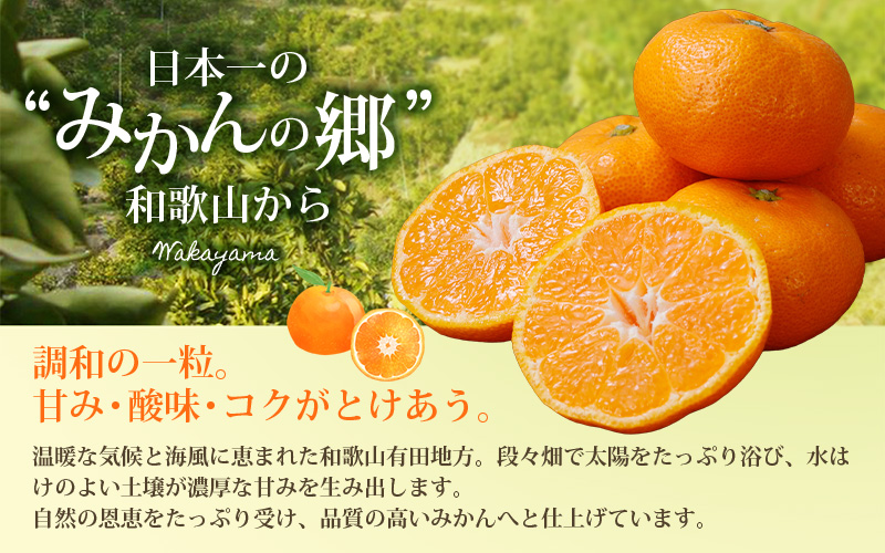 みかん 【2025年12月発送予約分】＼光センサー選別／農家直送 こだわりの有田みかん 約5kg＋250g(傷み補償分) 【ご家庭用】【12月発送】 ※北海道・沖縄・離島配送不可【nuk160-12B】