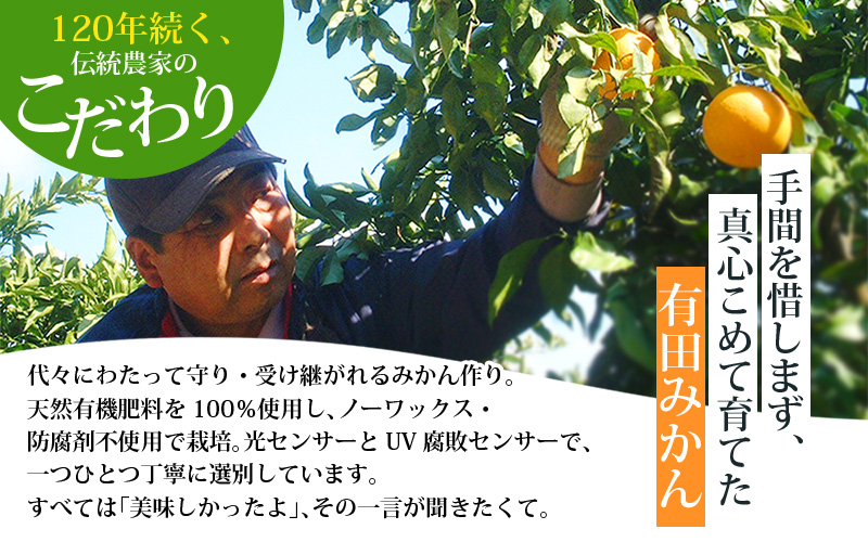 みかん 【2025年12月発送予約分】＼光センサー選別／農家直送 こだわりの有田みかん 約5kg＋250g(傷み補償分) 【ご家庭用】【12月発送】 ※北海道・沖縄・離島配送不可【nuk160-12B】