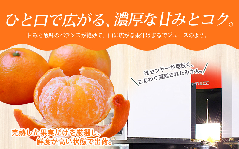 みかん 【2025年12月発送予約分】＼光センサー選別／農家直送 こだわりの有田みかん 約5kg＋250g(傷み補償分) 【ご家庭用】【12月発送】 ※北海道・沖縄・離島配送不可【nuk160-12B】