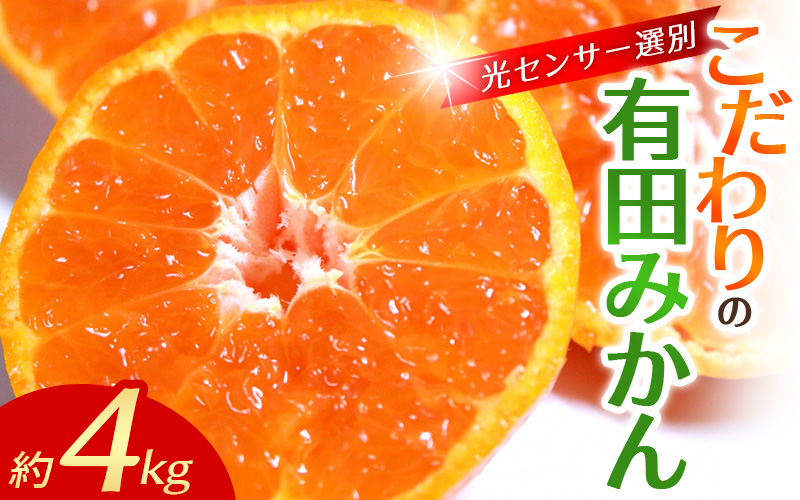 【2027年1月発送予約】 みかん 4kg＋150g（痛み補償分） 訳あり ミカン 有田みかん 温州みかん 柑橘 有田 和歌山 家庭用 有田 フルーツ 果物 くだもの 【nuk148-01A】