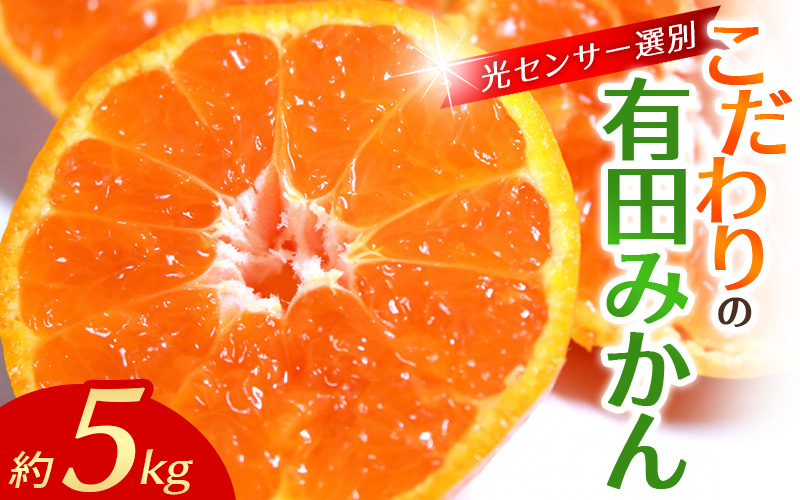 みかん [2025年12月発送予約分]＼光センサー選別/農家直送 こだわりの有田みかん 約5kg+250g(傷み補償分) [ご家庭用][12月発送] ※北海道・沖縄・離島配送不可[nuk160-12B]
