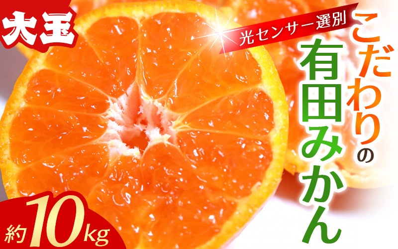 【大玉】みかん 有田みかん 約10kg  大玉3L以上 光センサー選別で厳選 ※2026年12月初旬～2027年1月中旬に順次発送2026年11月～12月に順次発送予定(お届け日指定不可) / みかん 有田みかん 温州ミカン 蜜柑 柑橘 フルーツ 果物 人気 10kg 大玉 ご家庭用 有機肥料 和歌山県 串本町【nuk139F】