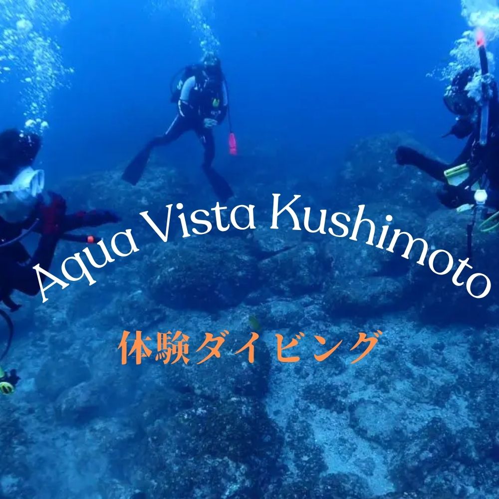 体験ダイビング　1ダイブ｜ ダイビング 体験 ファンダイビング 和歌山県 串本町【aqa003】