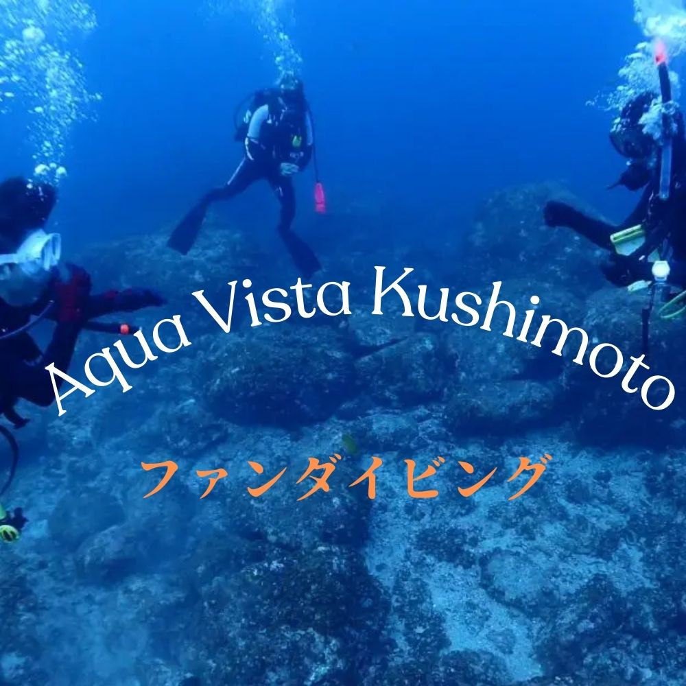 2ボートファンダイビング　器材レンタル（ウエットスーツ）込み【ライセンス保有者限定】1名様 ｜ ダイビング ファンダイビング フルレンタル 和歌山県 串本町【aqa001】