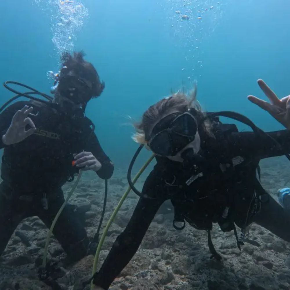 2ボートファンダイビング【ライセンス保有者限定】　1名様 ｜ ダイビング ファンダイビング 和歌山県 串本町【aqa002】