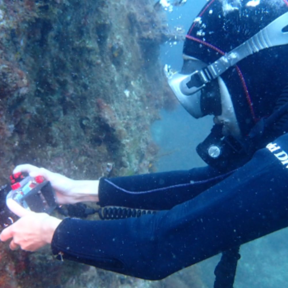 2ボートファンダイビング【ライセンス保有者限定】　1名様 ｜ ダイビング ファンダイビング 和歌山県 串本町【aqa002】