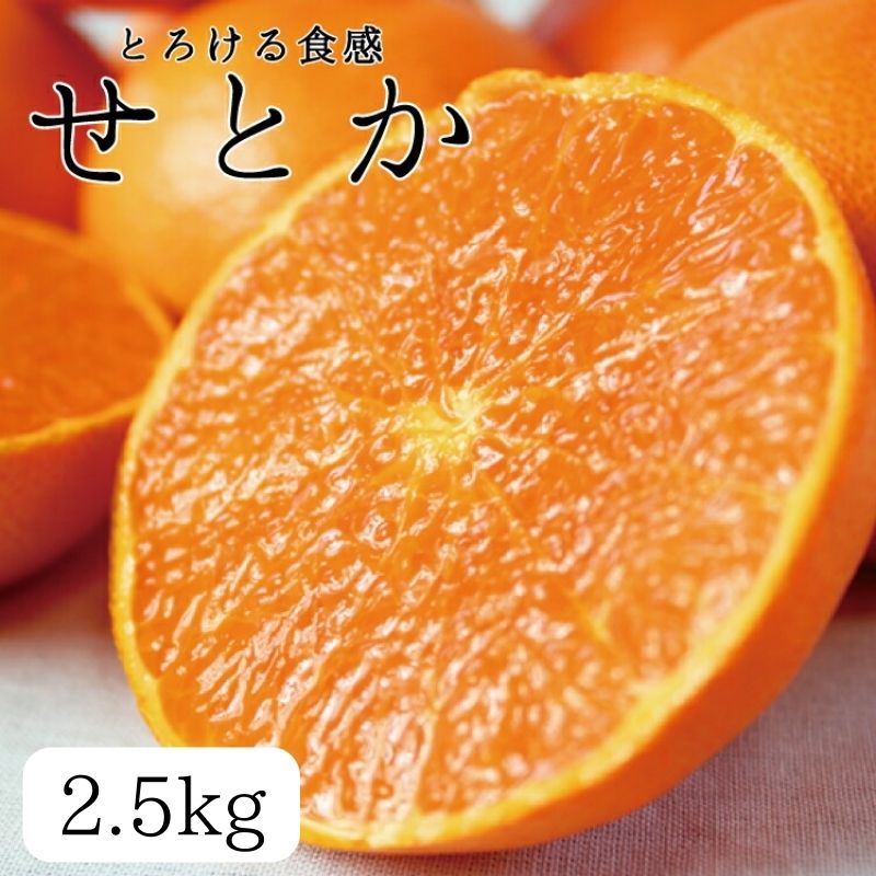 とろける食感 ジューシー柑橘 せとか 約2.5kg みかん 蜜柑 柑橘 オレンジ 果物 フルーツ 国産 和歌山県広川町 ※2025年2月上旬頃〜2月下旬頃に順次発送予定