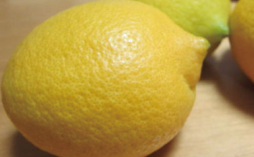 【国産】紀州和歌山　有田レモン 約2kg