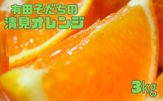 【2025年2月下旬〜3月下旬順次発送予定】有田育ちの完熟清見オレンジ(ご家庭用)　約3kg