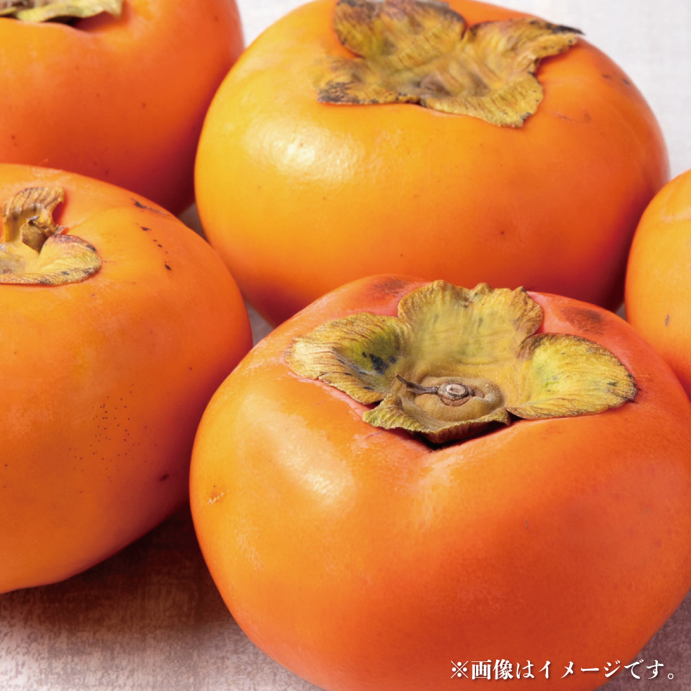 【2024年発送】富有柿 3kg以上【串本グルメ市場】