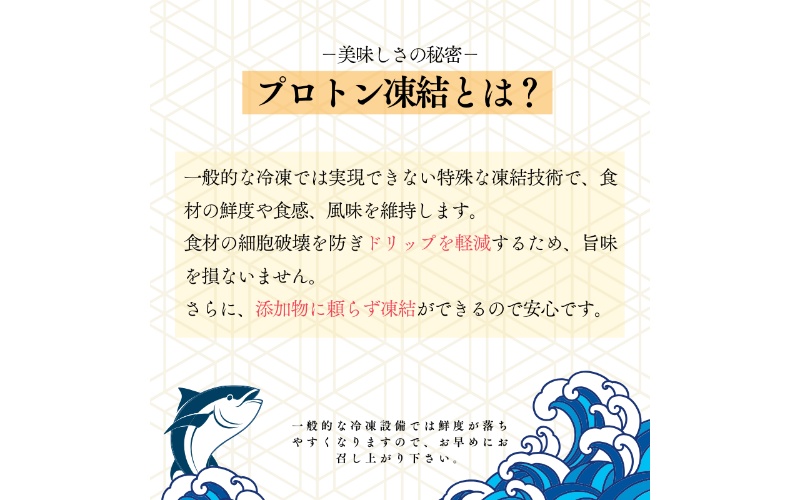 幻の高級魚 くえ 天然クエ鍋セット 1人前300g 【個体10kg未満】【2024年10月上旬～2025年2月下旬に順次発送】 / クエ クエ鍋 天然 魚 魚貝 海鮮　