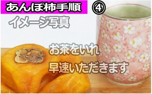 【県認定エコファーマー】あんぽ柿用生渋柿（平たねなし柿） 約4.5～5kg-AP