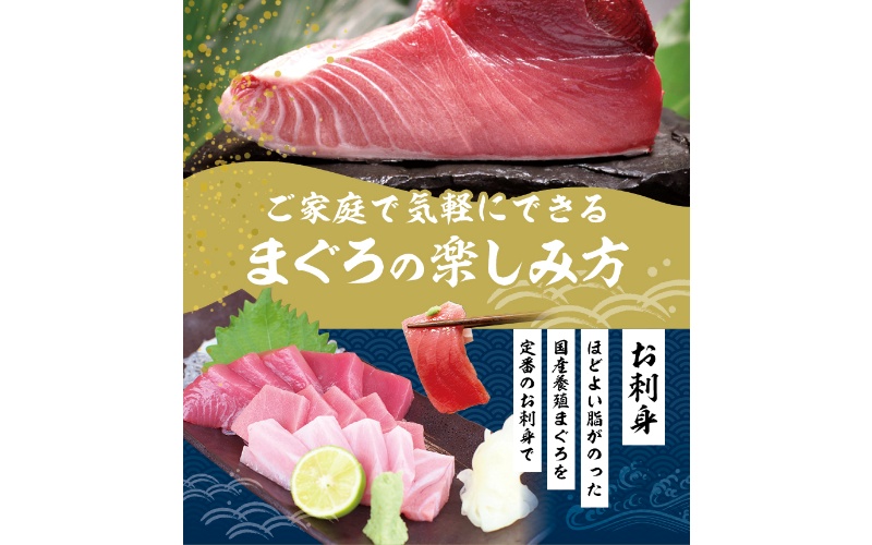 本マグロ 中とろ 400gサク 「プレミア和歌山認定」 和歌山県でも指折りの好漁場で養殖された本鮪！ 南紀串本よしだ本鮪