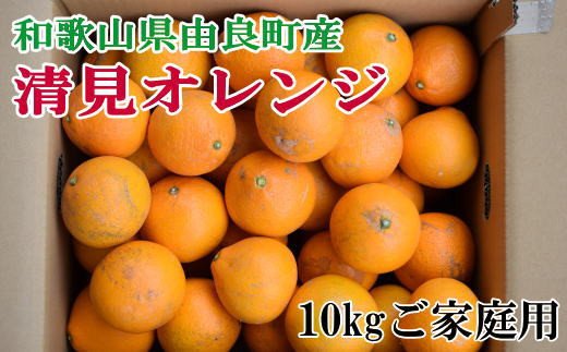 【訳あり・ご家庭用】和歌山由良町産の濃厚清見オレンジ約10kg　※2025年2月中旬～2025年2月下旬頃（お届け日指定不可）