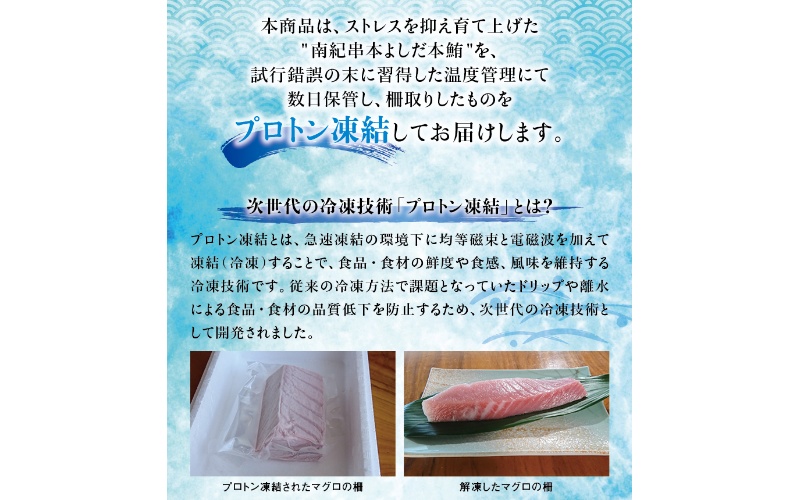 本マグロ 中とろ 400gサク 「プレミア和歌山認定」 和歌山県でも指折りの好漁場で養殖された本鮪！ 南紀串本よしだ本鮪