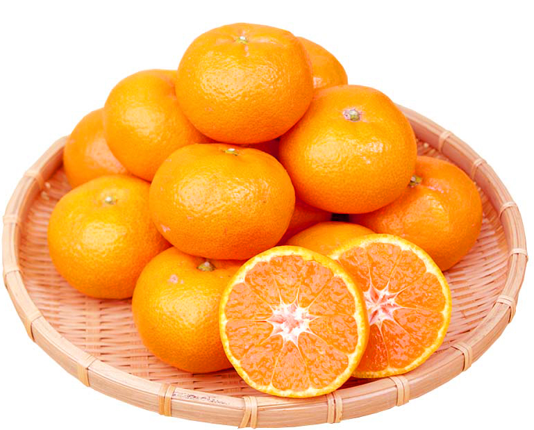 【3か月定期便】人気の柑橘を集めた！みかんの定期便