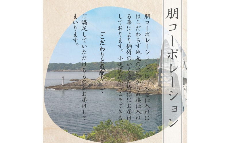 【個体10kg以上】 幻の高級魚 くえ 天然クエ鍋セット 3人前900g  【2024年10月上旬～2025年2月下旬に順次発送】 / クエ クエ鍋 天然 魚 魚貝 海鮮　