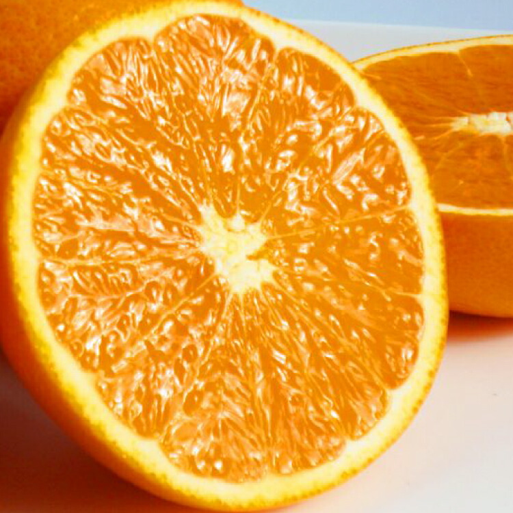 [予約][ジューシー]清見オレンジ 5kg ※2025年3月下旬〜2025年4月中旬頃に順次発送予定(お届け日指定不可)/ オレンジ みかん ミカン 蜜柑 柑橘 フルーツ 果物 くだもの 和歌山