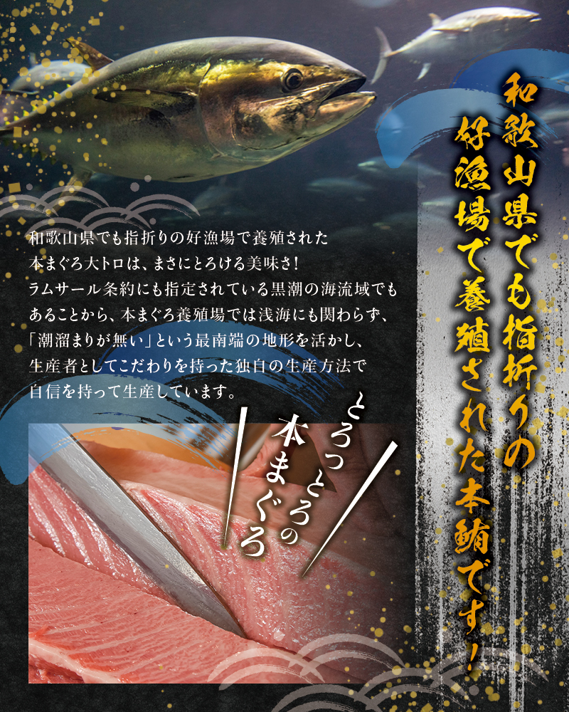 本マグロ 中とろ 400gサク 「プレミア和歌山認定」 和歌山県でも指折りの好漁場で養殖された本鮪！ 南紀串本よしだ本鮪