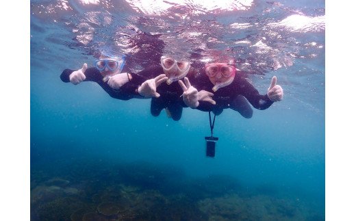シュノーケリング 1名様分　世界最北端のサンゴ礁を見に行こう！